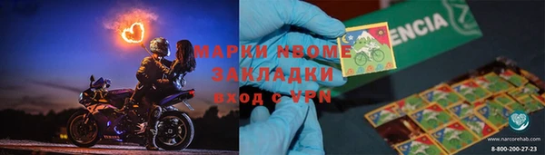 хмурый Алзамай