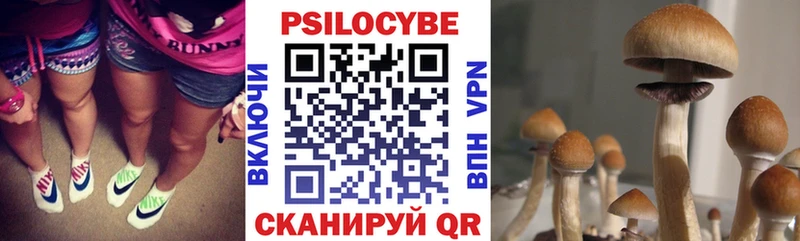 Галлюциногенные грибы Magic Shrooms  сколько стоит  Симферополь 
