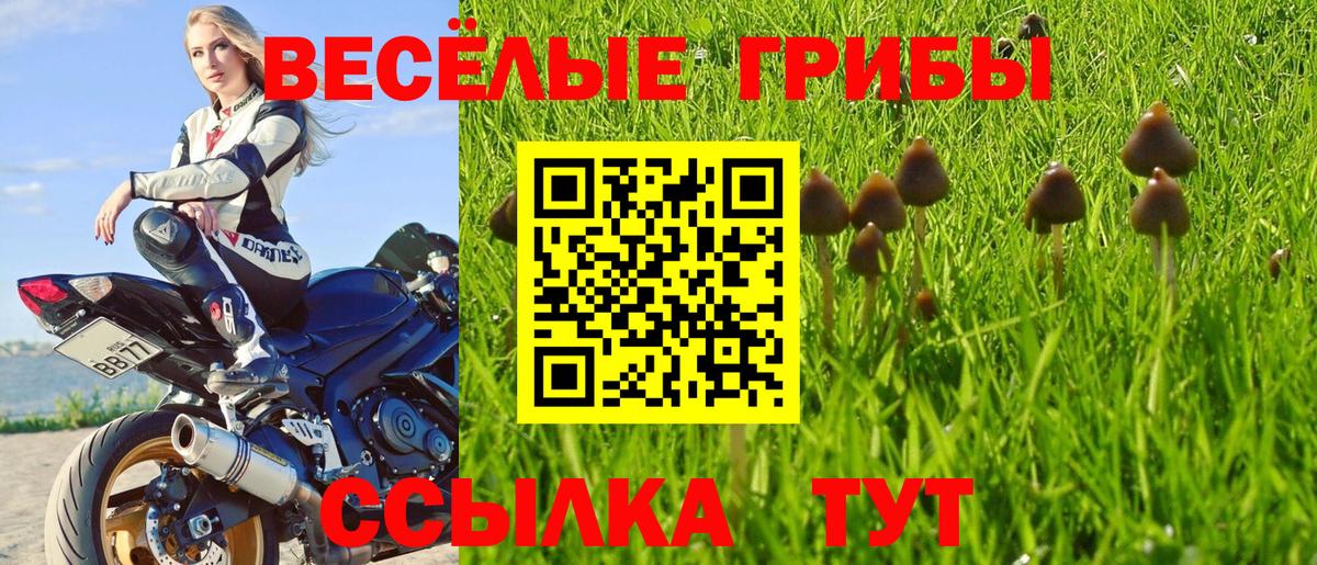 Псилоцибиновые грибы Magic Shrooms Симферополь