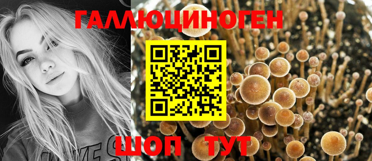 купить   Галлюциногенные грибы мицелий  Вход с VPN  Симферополь 